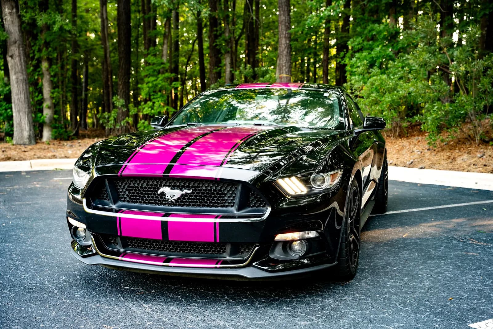2015 Ford Mustang for rent - $100/day